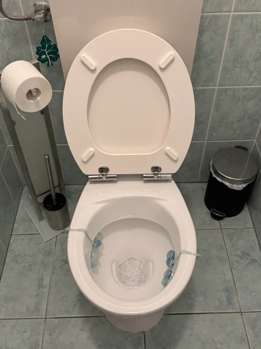Toilet and tiled floor after a bathroom clean in a Budapest flat