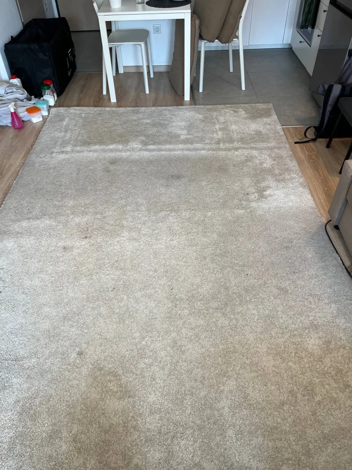 A rug during professional deep cleaning and pet odour treatment in a Budapest home